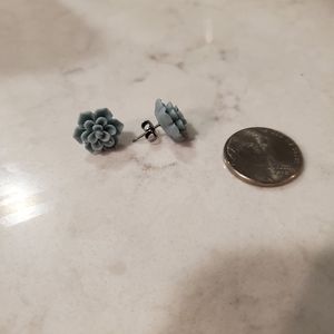 Succulent Post earrings